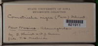 Image Associated With the Occurence